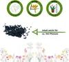 Porree Blaugrüner Winter Samen - Allium porrum - Produktbild-Vorschau 2