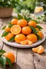 Nova Mandarine kernlos 120–150 cm – Mandarinenbaum für Produktbild-Vorschau 2