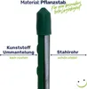 Pflanzstab Rankenhilfe Stahl mit Kunststoff Ummantelung Produktbild-Vorschau 5