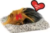 Perfekt Petzzz Little York Welpe 13 cm Produktbild-Vorschau 5
