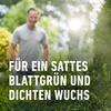 COMPO Buchsbaum- und Ilex Langzeit-Dünger - 2 kg Produktbild-Vorschau 11