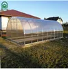 Serra KLASIKA TUBE 3x4m con fondamenta e policarbonato da 6 Anteprima dell’immagine prodotto 21
