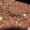 Půda pro masožravé rostliny – půda pro masožravce Náhled obrázku produktu 3