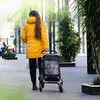eluno Einkaufstrolley OKEL, Treppensteiger inkl. Kühlfach, Produktbild-Vorschau 2