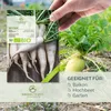 Rettich Samen (Japanischer Daikon, 50 Korn) - Rettich Produktbild-Vorschau 2