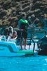 Jobe Neopren Schwimmweste Herren Lindgrün Vest Men Produktbild-Vorschau 17