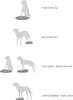 Disco di equilibrio FitPAWS per animali domestici 36 cm blu Anteprima dell’immagine prodotto 7
