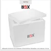 THERM BOX Styroporbox 27W Innen: 37x26x29cm Wand: 4cm Produktbild-Vorschau 10