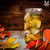 SuperButelki.pl - 60x Glasgefäß 815 ml mit Produktbild-Vorschau 7