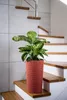 Adoni Jute Blumentopf Rot 28x47 cm - Pflanzkübel mit Produktbild-Vorschau 2