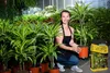 Palmenerde 20 l - Hochwertig - Nährstoffreich - Für Garten Produktbild-Vorschau 5