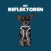 Hundegeschirr für Kleine und Große Hunde - Gepolstert und Produktbild-Vorschau 7
