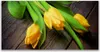 Glasbilder 140x70 Wandbild Druck auf Glas Tulpen Pflanzen Produktbild-Vorschau 1