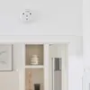 Sirena di allarme IP Homematic - interno Anteprima dell’immagine prodotto 20
