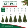 Triumph Tree kunstkerstboom, groene dennenboom, model Productafbeelding-voorbeeld 4