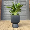 Anthrazitfarbener Einsatz Blumentopf MILLY DBMIG300-S433 Produktbild-Vorschau 17