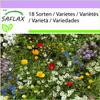 SAFLAX - Malí záhradní trpaslíci - Mix - 1000 Semená Náhľad obrázku produktu 4