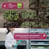 LERAVA® x Profarms Zmes mikrozeleniny  – sada 6 balení Náhľad obrázku produktu 3