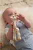 Sophie la girafe® (Geschenkktn. weiß) Produktbild-Vorschau 23