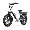 Onesport 20 Zoll Elektrofahrrad Pedelec,  48V/18Ah ，250W Produktbild-Vorschau 1