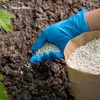 Heidelbeerdünger - Mineraldünger für Heidelbeeren – 3 Kg Produktbild-Vorschau 10