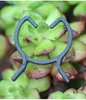 100 clip da giardino per piante, supporti per la Anteprima dell’immagine prodotto 3