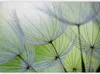 Vlies Fototapete - Fleeting moments 150x105 cm Blumen Produktbild-Vorschau 5