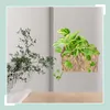 Relaxdays Blumenampel Wasserhyazinthe, Kräuter, Pflanzen, Produktbild-Vorschau 3