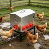 Distributeur de nourriture pour poulets Peviasot, capacité Voir les images du produit 14