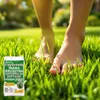 EcoDeco semi per prato resistente al calpestio, miscela Anteprima dell’immagine prodotto 10
