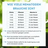 Futeco® – SF-Nematoden (5 Mio.) gegen Trauermücken – für 50 Produktbild-Vorschau 5