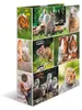 HERMA Motiv-Ordner A4 Animals Nagetiere - A4 - Halteöse - Produktbild-Vorschau 1