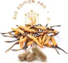 MycoMedica Cordyceps PRO 90 kapslí, doplněk stravy Náhled obrázku produktu 3