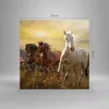 Bild auf Leinwand - Leinwandbild - Pferd Tier Natur - Produktbild-Vorschau 3