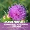 PURE NATURAL CHOICE | Mariendistel Komplex: Exklusive Produktbild-Vorschau 2