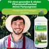 Purgrün Pampasgras-Dünger 1 Liter, Produktbild-Vorschau 2