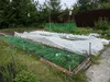 5m x 0,9m gaza bawełniana biała, 100% bawełna, tkanina z Podgląd zdjęcia produktu 13