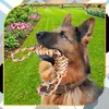 EDIBAZZAR | Anello di dentizione in corda per cani, grande, Anteprima dell’immagine prodotto 2