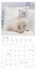 Alpha Edition - Samtpfötchen Kalender 2026 - Wandkalender & Produktbild-Vorschau 15