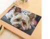 Protišmyková podložka Pes 40x60 cm - Yorkshire Terrier Náhľad obrázku produktu 4
