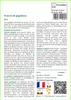 SAFLAX  - Prairie de papillons - 1000 graines - Mix Voir les images du produit 3