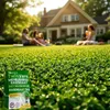 EcoDeco - Semences de trèfle nain pour gazon - Mélange de Voir les images du produit 4