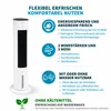 Stolthoff Turmventilator mit Wasserkühlung, Produktbild-Vorschau 3