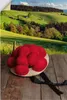 ARTland Wandbild, selbstklebend Schwarzwälder Bollenhut auf Produktbild-Vorschau 1
