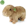 Peluche Capibara 30 Cm Ecologico Anteprima dell’immagine prodotto 1