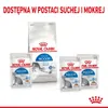 Royal Canin Indoor Sterilised W Sosie 12x85g Karma Mokra W Podgląd zdjęcia produktu 8