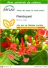 SAFLAX  - Flamboyant - 6 graines - Avec substrat - Delonix Voir les images du produit 1