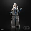 Hasbro Star Wars Černá série Bryndák Fortuna F7076 Náhled obrázku produktu 4