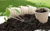 Seedlings in biodegradable pots with soil. Produktbild-Vorschau