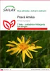 SAFLAX - Pravá Arnika - Arnica montana - 40 Semená Náhľad obrázku produktu 1